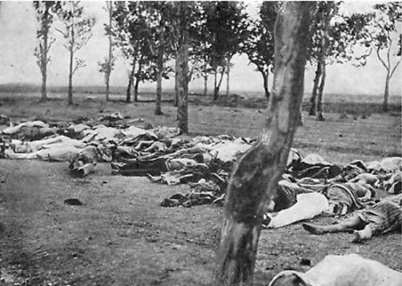 Массовые убийства армян в 1894—1895 годах