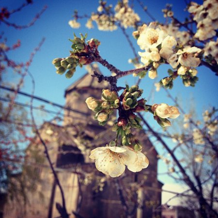 Фото дня 07.04.2014 - Весна в Армении
